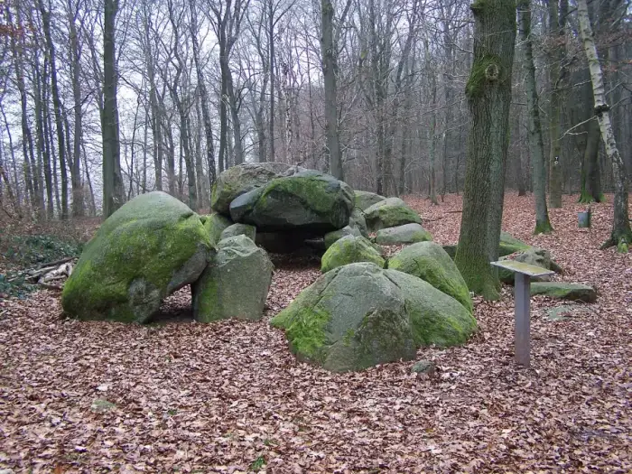 Lotte, Ausschnitt
